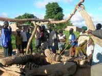 Cliquez pour le diaporama photos