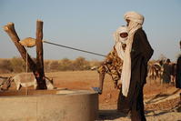 Deux hommes devant le puits, pendant qu'un âne tire la corde.