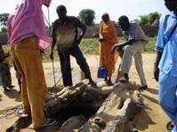 eau et assainissement Préfecture de Birao (RCA)