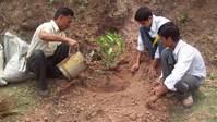 Chaque enfant plante son arbre (initiative « un enfant un arbre »), ici à l’école de Panjahal